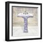 Lacey Sink 2-Diane Stimson-Framed Art Print