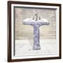 Lacey Sink 2-Diane Stimson-Framed Art Print