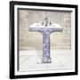 Lacey Sink 2-Diane Stimson-Framed Art Print