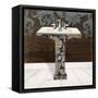 Lacey Sink 3-Diane Stimson-Framed Stretched Canvas