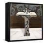 Lacey Sink 3-Diane Stimson-Framed Stretched Canvas