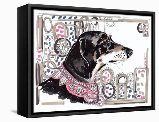 Lacey the Dachshund, 2013-Jo Chambers-Framed Stretched Canvas