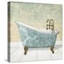 Lacey Tub 1-Diane Stimson-Stretched Canvas