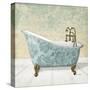 Lacey Tub 1-Diane Stimson-Stretched Canvas