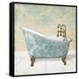 Lacey Tub 1-Diane Stimson-Framed Stretched Canvas