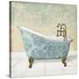 Lacey Tub 1-Diane Stimson-Stretched Canvas