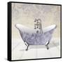 Lacey Tub 4-Diane Stimson-Framed Stretched Canvas