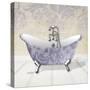 Lacey Tub 4-Diane Stimson-Stretched Canvas