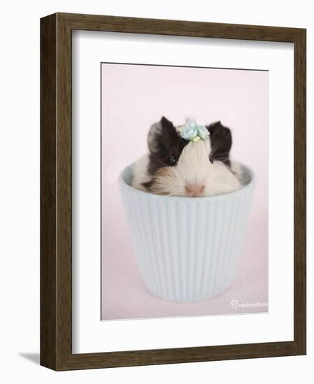 Lacey-Rachael Hale-Framed Art Print