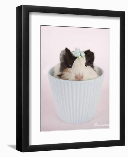 Lacey-Rachael Hale-Framed Art Print