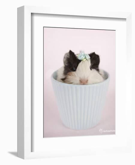 Lacey-Rachael Hale-Framed Art Print