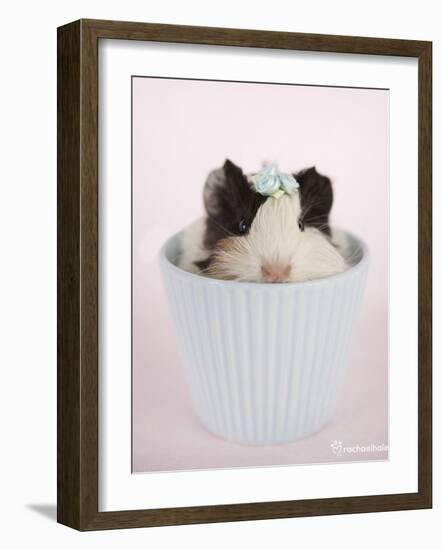 Lacey-Rachael Hale-Framed Art Print