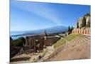 Wood Mount