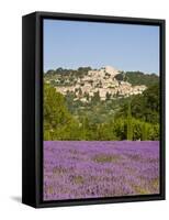 Lacoste and Lavender Fields, Luberon, Vaucluse Provence, France-Doug Pearson-Framed Stretched Canvas