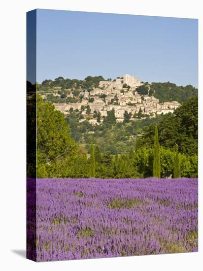 Lacoste and Lavender Fields, Luberon, Vaucluse Provence, France-Doug Pearson-Stretched Canvas