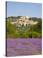 Lacoste and Lavender Fields, Luberon, Vaucluse Provence, France-Doug Pearson-Stretched Canvas