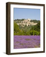 Lacoste and Lavender Fields, Luberon, Vaucluse Provence, France-Doug Pearson-Framed Photographic Print