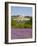 Lacoste and Lavender Fields, Luberon, Vaucluse Provence, France-Doug Pearson-Framed Photographic Print