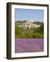 Lacoste and Lavender Fields, Luberon, Vaucluse Provence, France-Doug Pearson-Framed Photographic Print