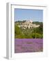 Lacoste and Lavender Fields, Luberon, Vaucluse Provence, France-Doug Pearson-Framed Photographic Print