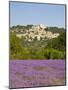 Lacoste and Lavender Fields, Luberon, Vaucluse Provence, France-Doug Pearson-Mounted Photographic Print