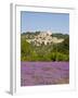 Lacoste and Lavender Fields, Luberon, Vaucluse Provence, France-Doug Pearson-Framed Photographic Print