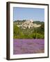 Lacoste and Lavender Fields, Luberon, Vaucluse Provence, France-Doug Pearson-Framed Photographic Print