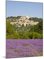 Lacoste and Lavender Fields, Luberon, Vaucluse Provence, France-Doug Pearson-Mounted Photographic Print