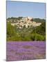 Lacoste and Lavender Fields, Luberon, Vaucluse Provence, France-Doug Pearson-Mounted Photographic Print