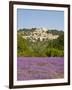 Lacoste and Lavender Fields, Luberon, Vaucluse Provence, France-Doug Pearson-Framed Photographic Print