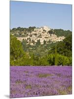 Lacoste and Lavender Fields, Luberon, Vaucluse Provence, France-Doug Pearson-Mounted Photographic Print