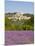 Lacoste and Lavender Fields, Luberon, Vaucluse Provence, France-Doug Pearson-Mounted Photographic Print