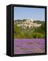 Lacoste and Lavender Fields, Luberon, Vaucluse Provence, France-Doug Pearson-Framed Stretched Canvas