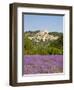 Lacoste and Lavender Fields, Luberon, Vaucluse Provence, France-Doug Pearson-Framed Premium Photographic Print