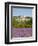 Lacoste and Lavender Fields, Luberon, Vaucluse Provence, France-Doug Pearson-Framed Premium Photographic Print