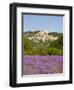 Lacoste and Lavender Fields, Luberon, Vaucluse Provence, France-Doug Pearson-Framed Premium Photographic Print