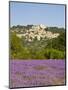 Lacoste and Lavender Fields, Luberon, Vaucluse Provence, France-Doug Pearson-Mounted Premium Photographic Print