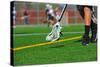 Lacrosse Ball in a Head-jaboardm-Stretched Canvas