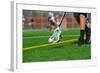 Lacrosse Ball in a Head-jaboardm-Framed Photographic Print