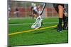 Lacrosse Ball in a Head-jaboardm-Mounted Photographic Print