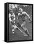 Lacrosse Game Between Johns Hopkins and Virginia-null-Framed Stretched Canvas