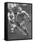 Lacrosse Game Between Johns Hopkins and Virginia-null-Framed Stretched Canvas