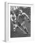 Lacrosse Game Between Johns Hopkins and Virginia-null-Framed Photographic Print