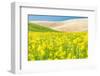 Lacrosse, Washington State, USA. Blooming canola field in the Palouse hills.-Emily Wilson-Framed Photographic Print