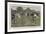 Lacrosse-Ernest Prater-Framed Giclee Print