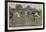 Lacrosse-Ernest Prater-Framed Giclee Print