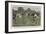 Lacrosse-Ernest Prater-Framed Giclee Print