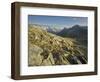 Lacs De Fen�e, Monts Telliers, Valais, Switzerland-Rainer Mirau-Framed Photographic Print