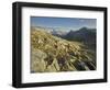 Lacs De Fen�e, Monts Telliers, Valais, Switzerland-Rainer Mirau-Framed Photographic Print