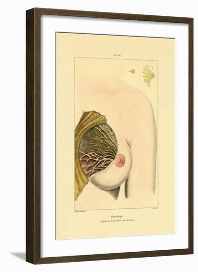 Lactation, 1833-39-null-Framed Giclee Print